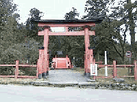 アウトドア テント/タープ 丹生都比売神社