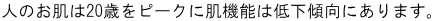l̂20΂s[Nɔ@\͒ቺXɂ܂B