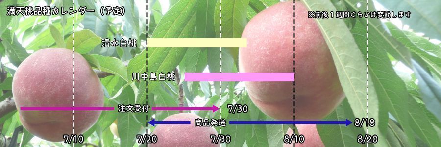 桃栽培カレンダー
