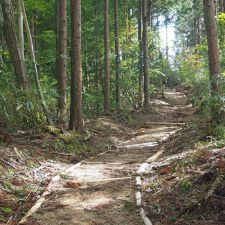 町石道参道