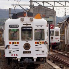 たま電車