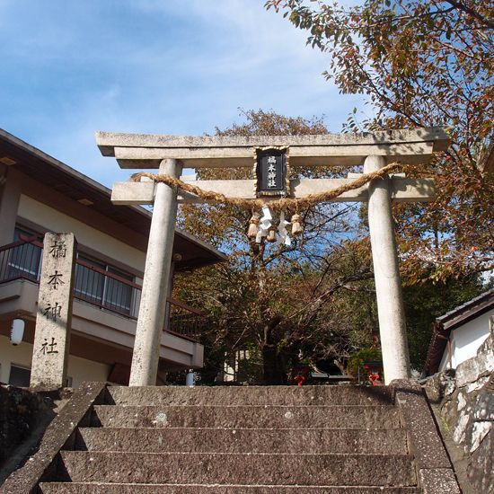 橘本神社の鳥居