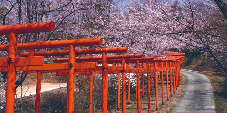 丸高稲荷神社