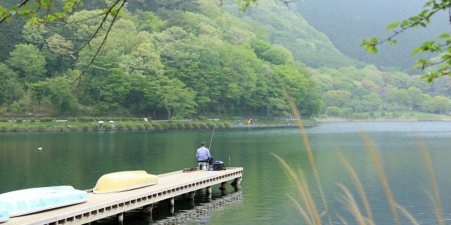 へらぶな釣り