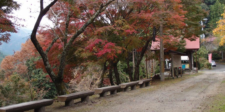 紀美野町