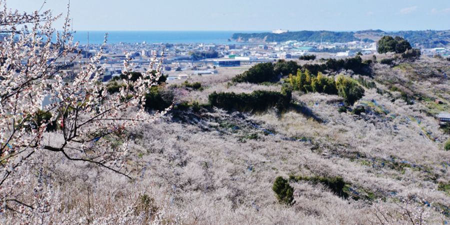 みなべ町