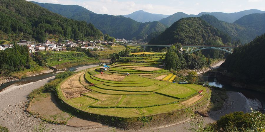 あらぎ島