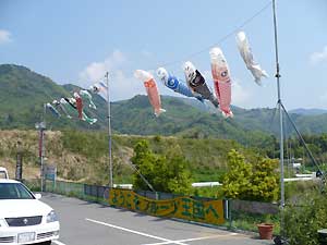 春風に泳ぐ鯉のぼり